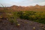 photo thumbnail #1