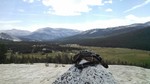 photo thumbnail #4