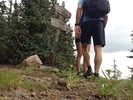 photo thumbnail #7