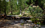 photo thumbnail #1