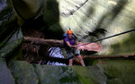 photo thumbnail #9