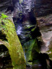 photo thumbnail #15