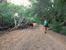 photo thumbnail #6