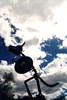 photo thumbnail #9