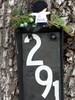 photo thumbnail #7