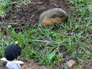 photo thumbnail #9