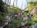 photo thumbnail #2