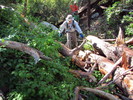 photo thumbnail #3