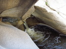 photo thumbnail #12