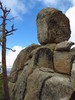 photo thumbnail #5
