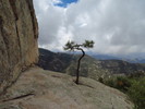 photo thumbnail #8