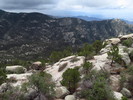 photo thumbnail #13