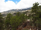 photo thumbnail #14