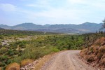 photo thumbnail #11
