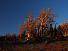 photo thumbnail #11