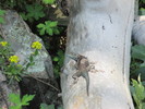 photo thumbnail #3