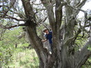 photo thumbnail #7