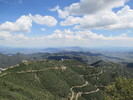 photo thumbnail #8