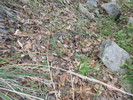 photo thumbnail #13