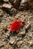 photo thumbnail #3