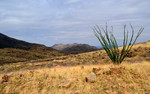 photo thumbnail #6