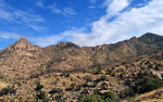 photo thumbnail #13