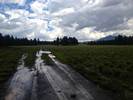 photo thumbnail #7