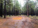 photo thumbnail #4