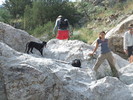 photo thumbnail #7