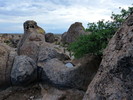 photo thumbnail #8