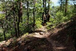 photo thumbnail #3