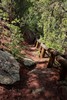photo thumbnail #5