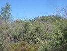 photo thumbnail #8