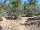 photo thumbnail #10