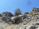 photo thumbnail #12