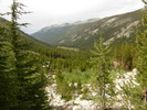 photo thumbnail #5
