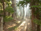 photo thumbnail #14