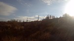 photo thumbnail #2