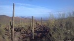 photo thumbnail #3