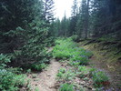 photo thumbnail #6