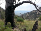 photo thumbnail #10