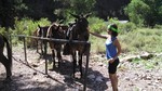 photo thumbnail #10