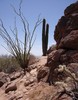 photo thumbnail #2