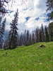 photo thumbnail #10