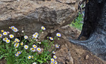 photo thumbnail #13