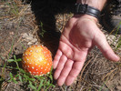 photo thumbnail #6