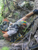photo thumbnail #8