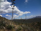 photo thumbnail #7