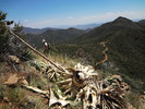 photo thumbnail #8