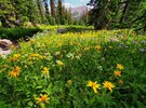 photo thumbnail #11